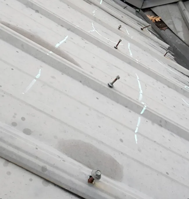 Fasteners securing light-colored metal roof panels.