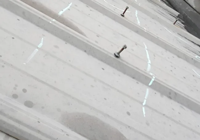 Fasteners securing light-colored metal roof panels.